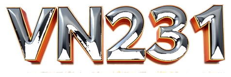 vn231 logo